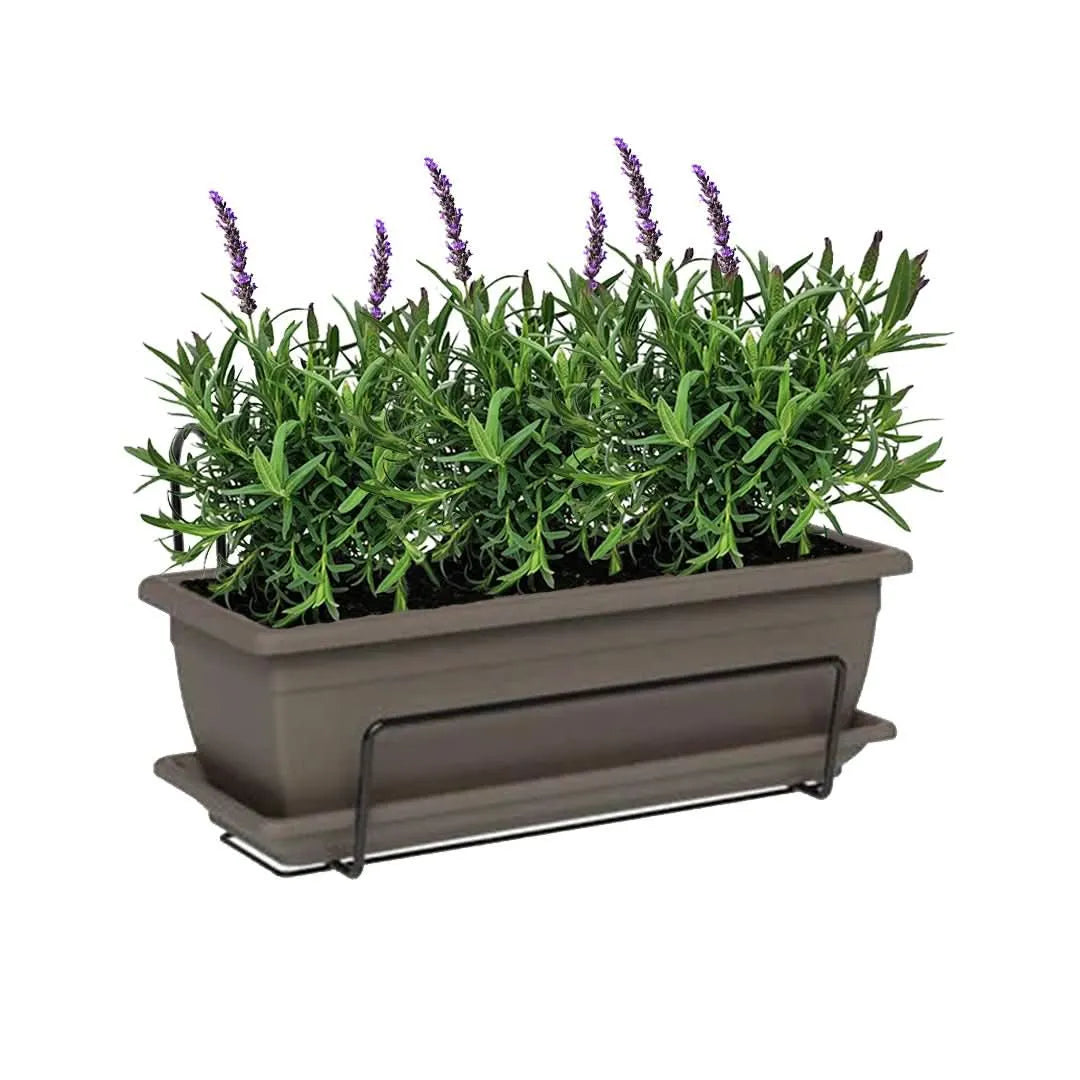 Kit Fioriera Nara 40 cm con 3 piante di Lavanda, ideale per balconi