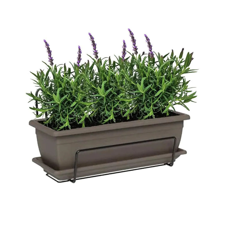 Kit Fioriera Nara 40 cm con 3 piante di Lavanda, ideale per balconi