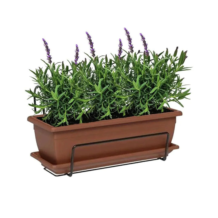 Kit Fioriera Nara 40 cm con 3 piante di Lavanda, ideale per balconi