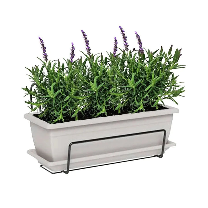 Kit Fioriera Nara 40 cm con 3 piante di Lavanda, ideale per balconi
