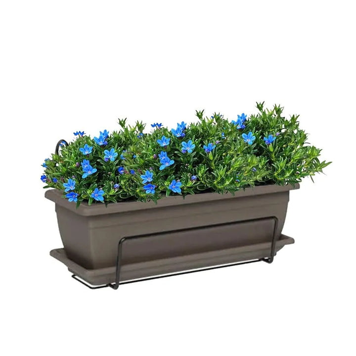 Kit Fioriera Nara 40 cm con 3 piante di Lithodora, perfetto per balconi