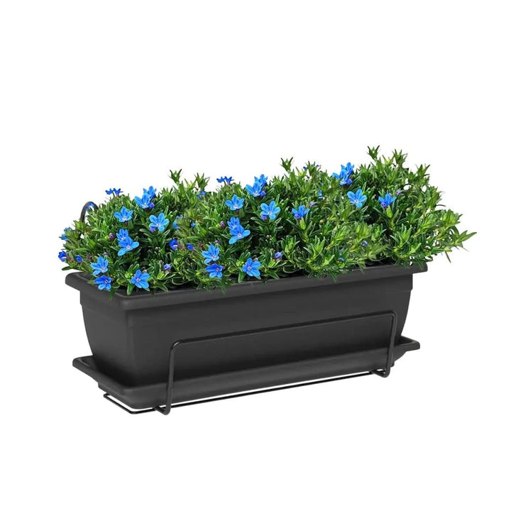 Kit Fioriera Nara 40 cm con 3 piante di Lithodora, perfetto per balconi