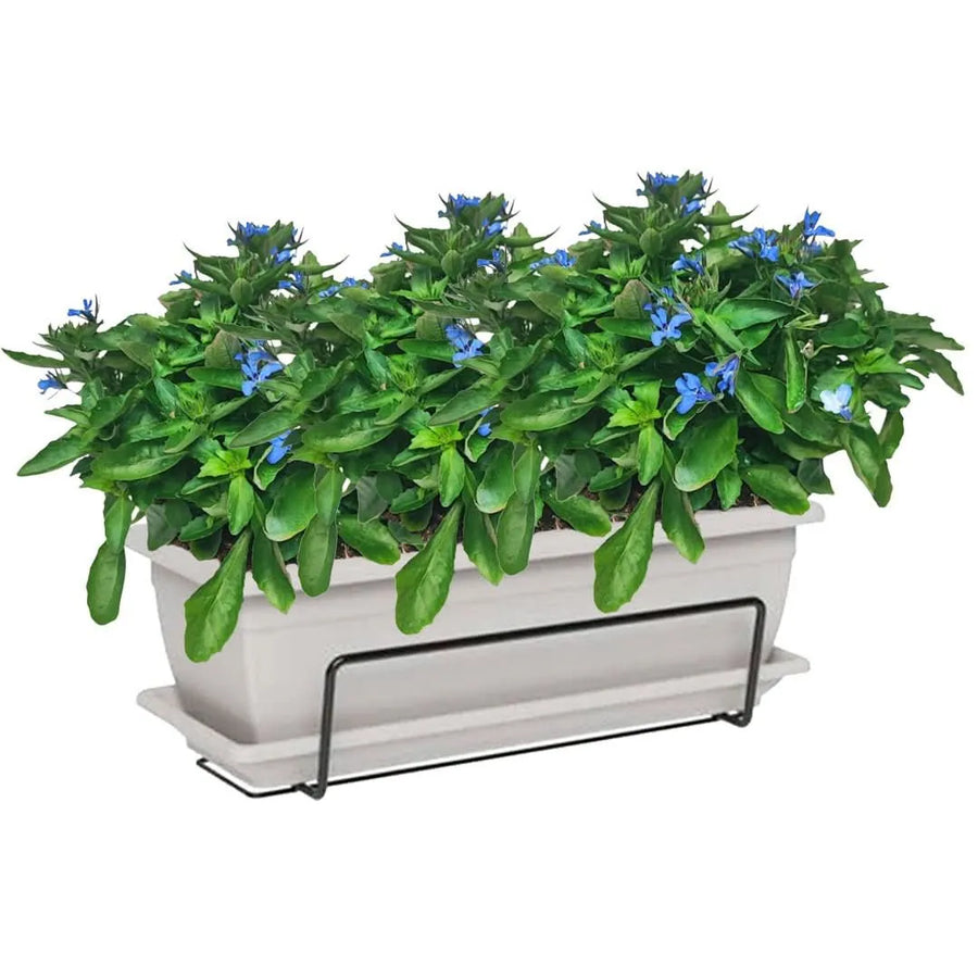 Kit fiorera Nara da balcone 40 cm con Lobelia - i Giardini di Giulia