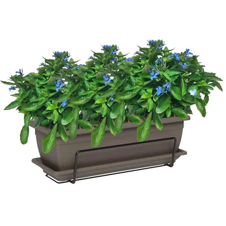 Kit fiorera Nara da balcone 40 cm con Lobelia - i Giardini di Giulia