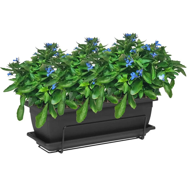 Kit fiorera Nara da balcone 40 cm con Lobelia - i Giardini di Giulia