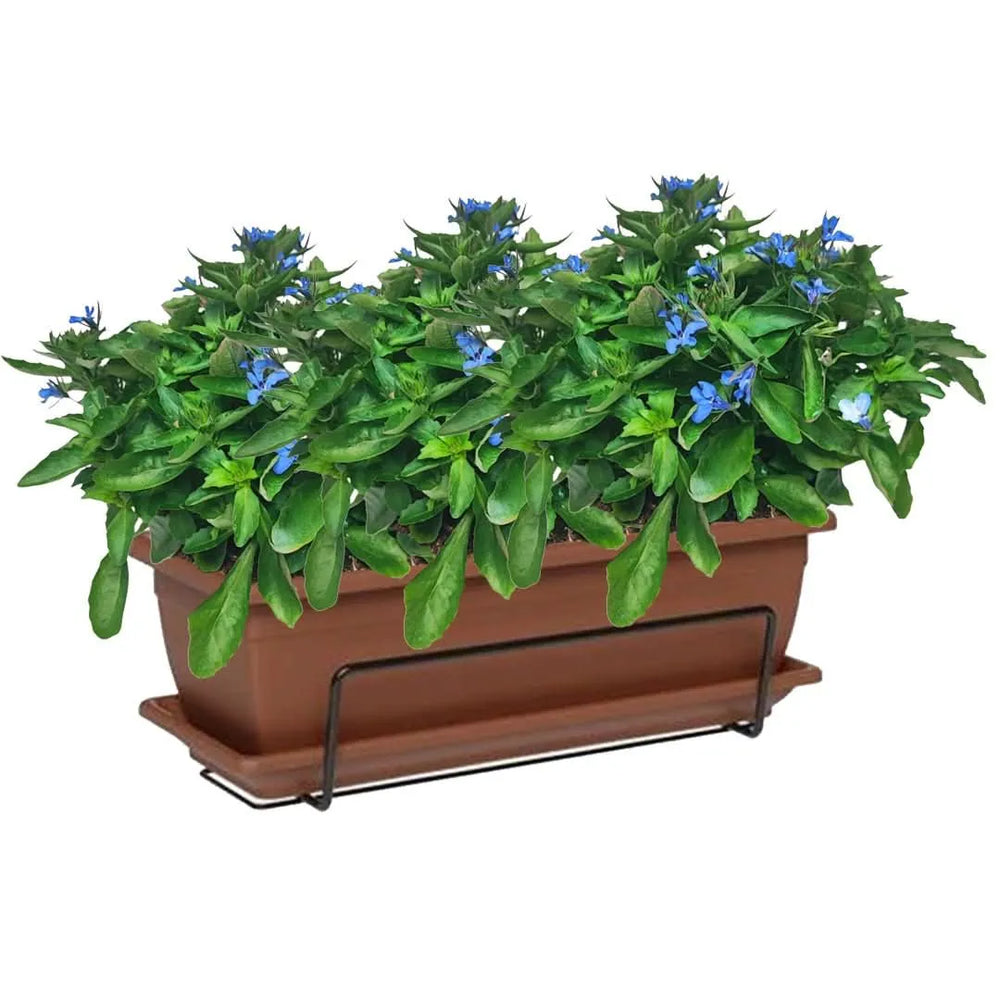 Kit fiorera Nara da balcone 40 cm con Lobelia - i Giardini di Giulia