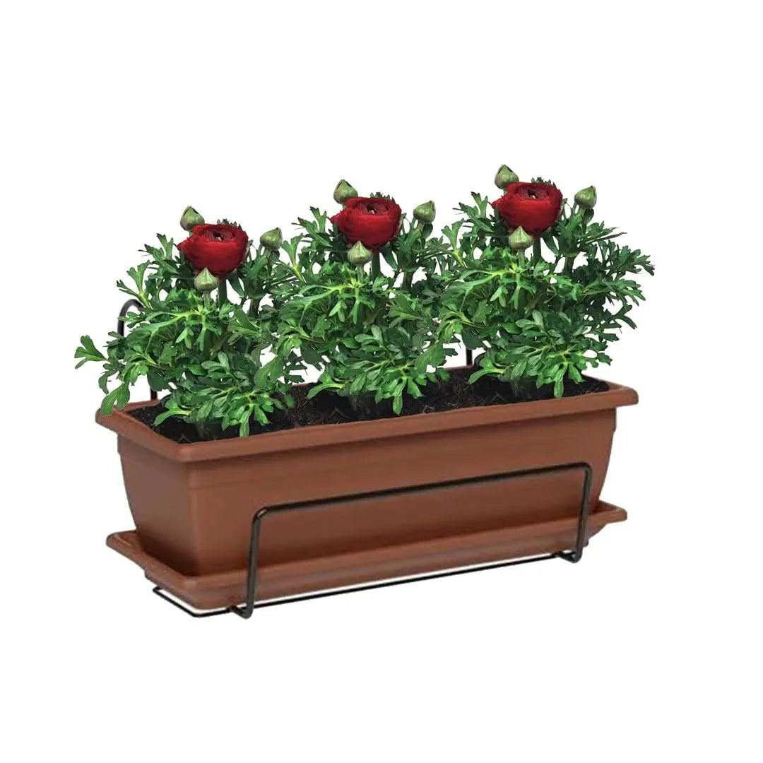 Kit Fioriera Nara 40 cm con 3 piante di Ranuncolo, perfetto per balconi