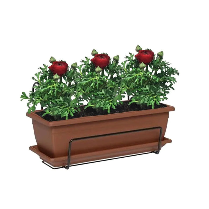 Kit Fioriera Nara 40 cm con 3 piante di Ranuncolo, perfetto per balconi