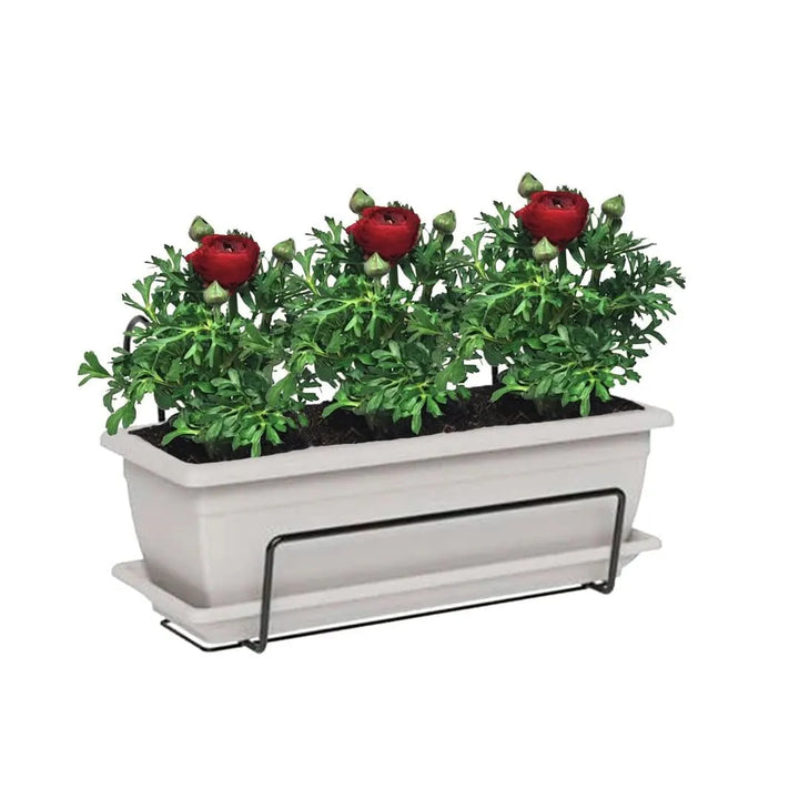 Kit Fioriera Nara 40 cm con 3 piante di Ranuncolo, perfetto per balconi