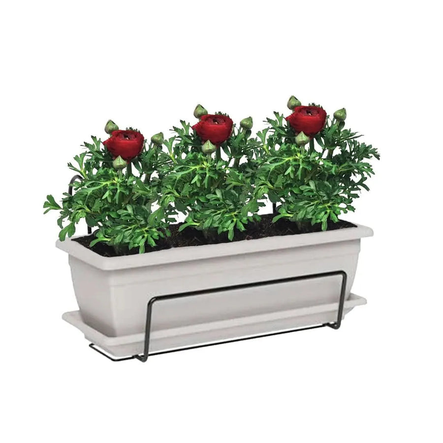 Kit Fioriera Nara 40 cm con 3 piante di Ranuncolo, perfetto per balconi