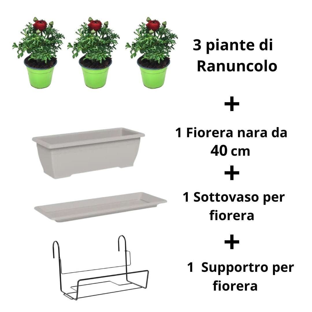 Kit fiorera Nara da balcone 40 cm con Ranuncolo - i Giardini di Giulia