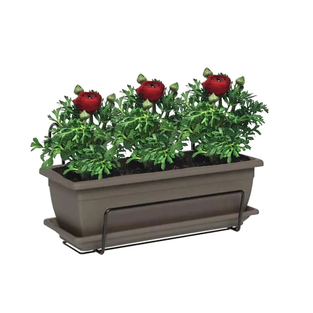 Kit Fioriera Nara 40 cm con 3 piante di Ranuncolo, perfetto per balconi