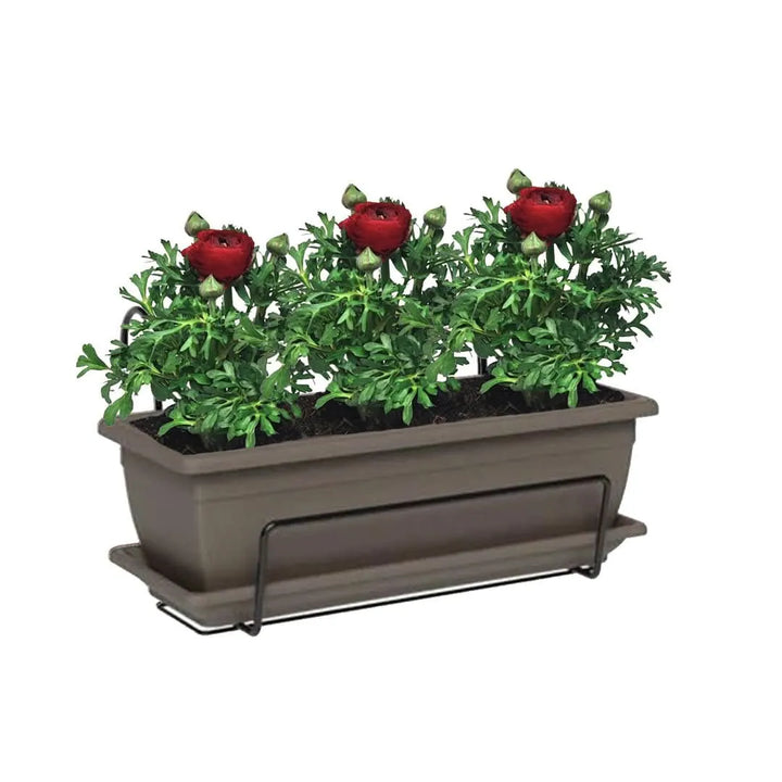 Kit Fioriera Nara 40 cm con 3 piante di Ranuncolo, perfetto per balconi
