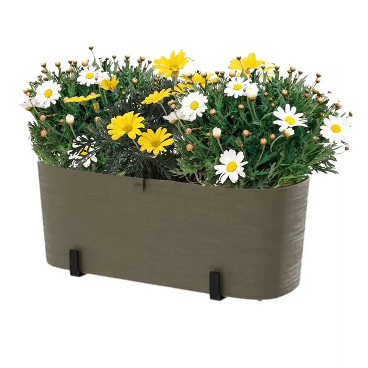 Fioriera Paros tortora con margherite e Euryops

