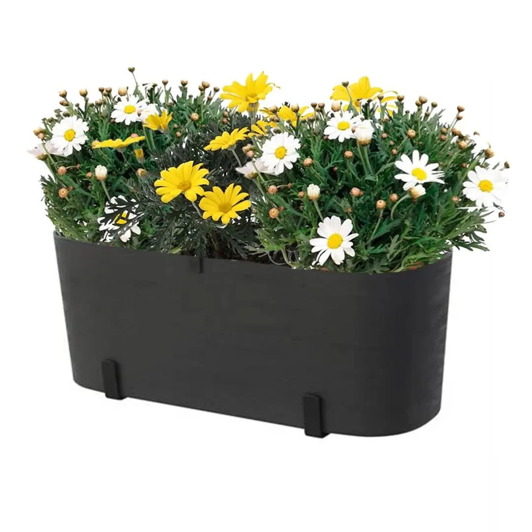 Fioriera Paros nera con margherite bianche e gialle


