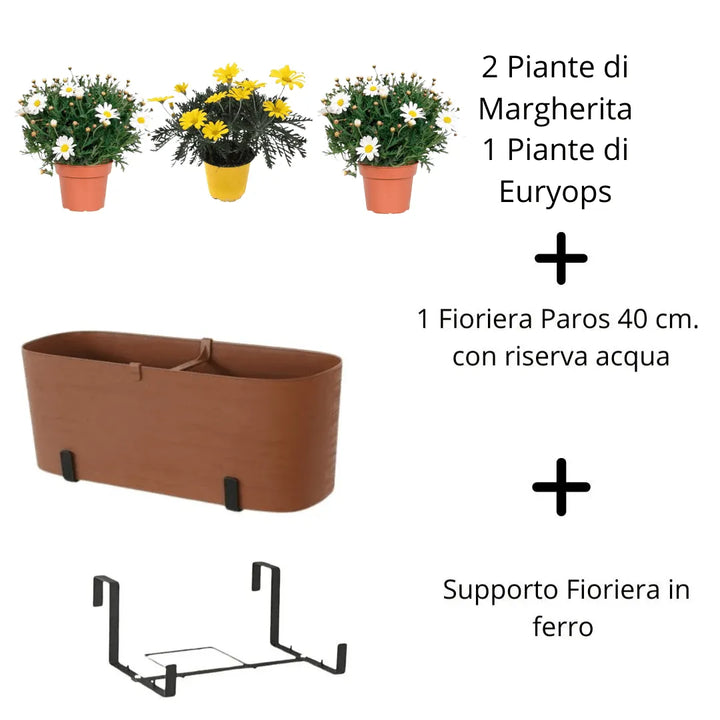 Contenuto del kit: 2 Margherite + 1 Euryops, fioriera con supporto in ferro

