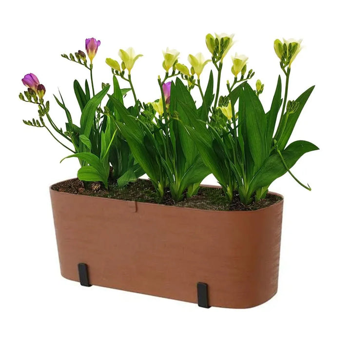 Kit Fioriera Paros 40 cm con fresie - balcone fiorito e profumato