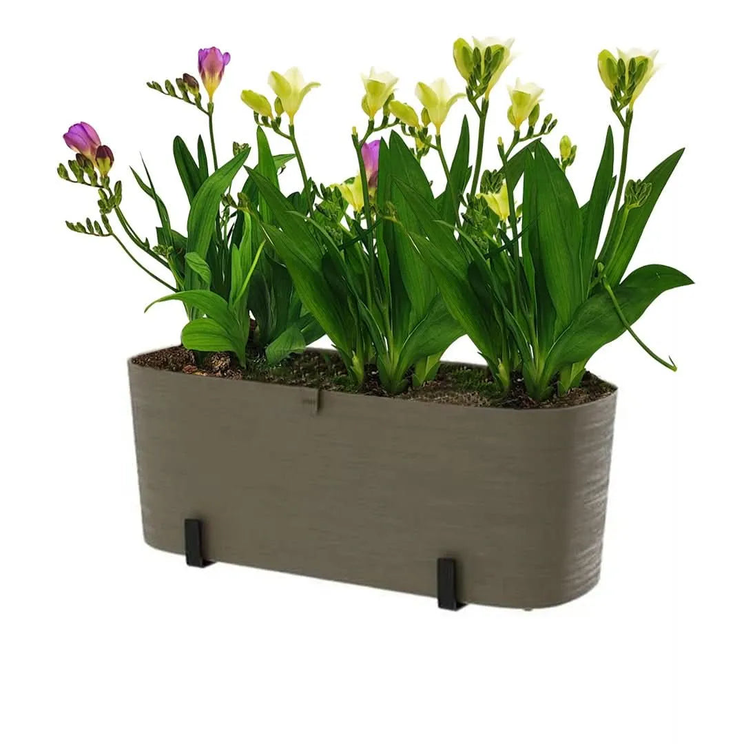 Kit Fioriera Paros 40 cm con fresie - balcone fiorito e profumato