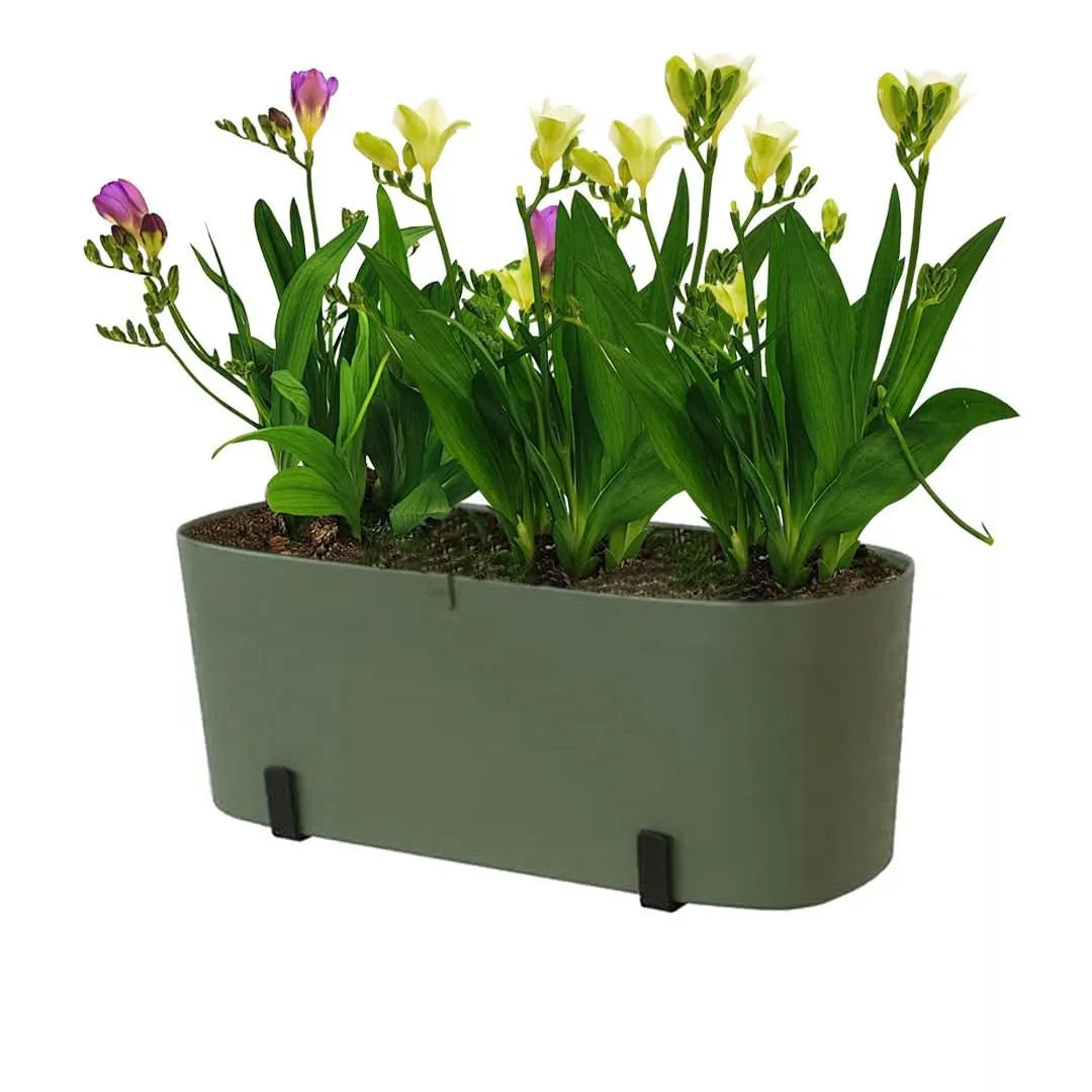 Kit Fioriera Paros 40 cm con fresie - balcone fiorito e profumato