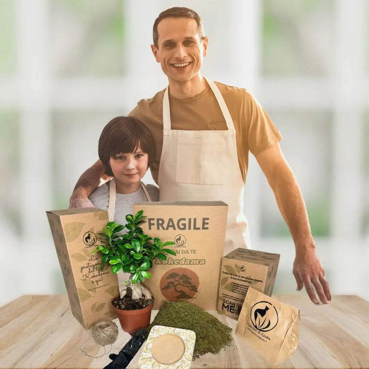 Contenuto del Kit Kokedama Bonsai Ginseng: pianta inclusa, base decorativa, terriccio, muschio naturale e filo di juta – I Giardini di Giulia