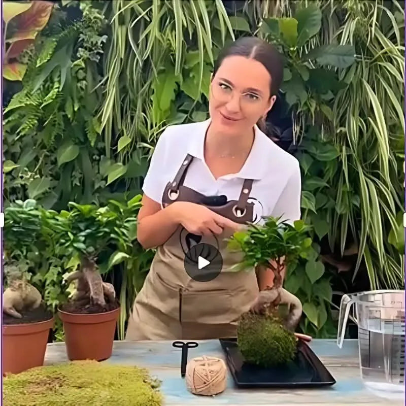 Tutorial Kokedama con bonsai Ficus Ginseng – I Giardini di Giulia: artigiana mostra i passaggi per creare una composizione fai da te con muschio, spago e acqua.