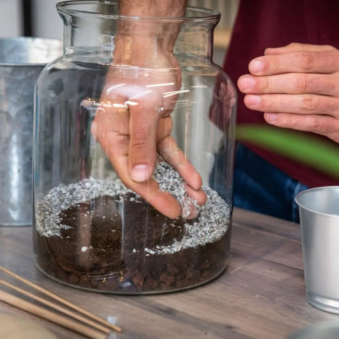 Mani che assemblano un terrarium fai-da-te in vaso di vetro, disponendo strati di substrati naturali su un piano di lavoro, durante la fase di creazione del mini giardino.
