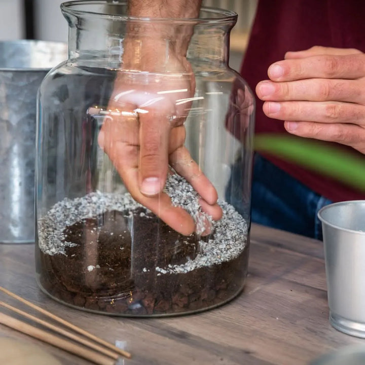 Mani che assemblano un terrarium fai-da-te in vaso di vetro, disponendo strati di substrati naturali su un piano di lavoro, durante la fase di creazione del mini giardino.