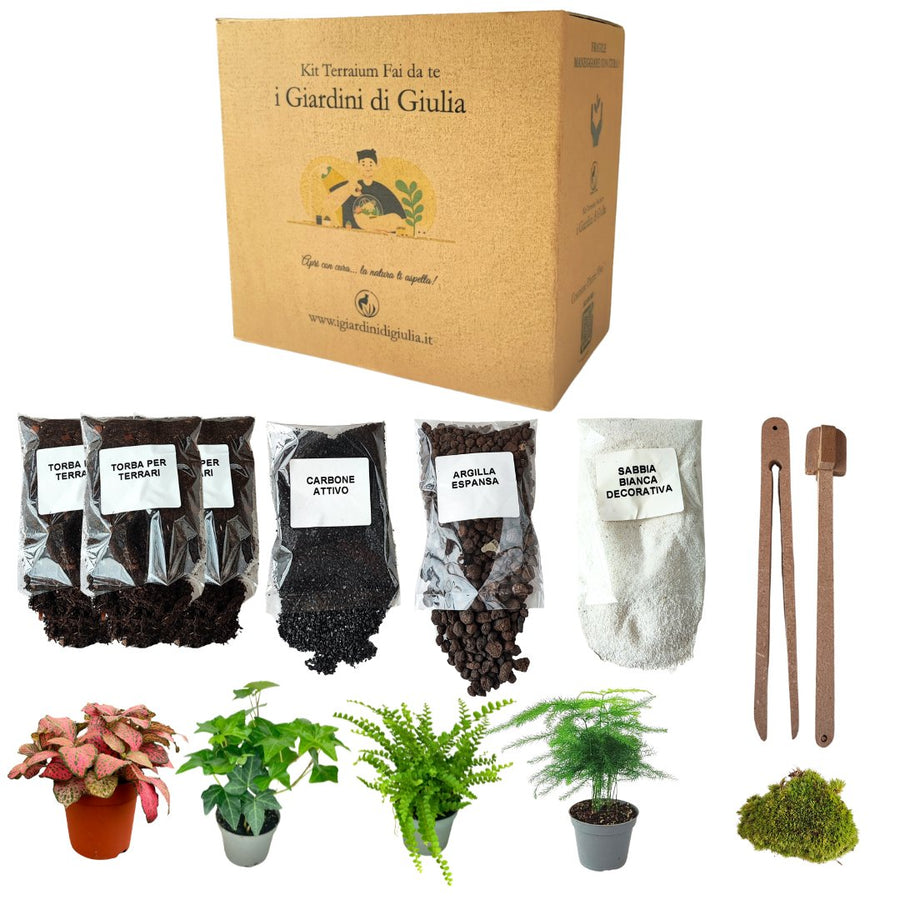 Kit per terrarium fai da con piantine senza contenitore - i Giardini di Giulia