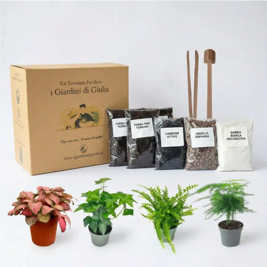 Kit Terrarium Fai da Te completo de i Giardini di Giulia con 4 piante vere, substrati professionali e attrezzi per la creazione.