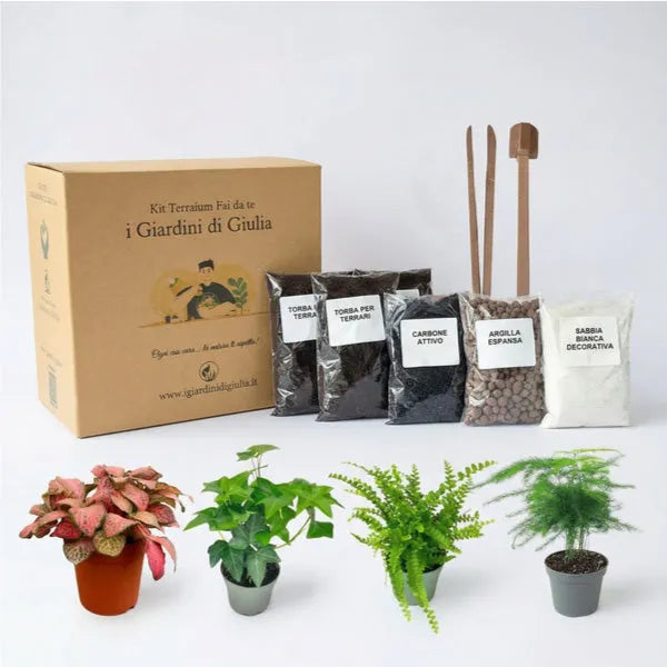 Kit Terrarium Fai da Te completo de i Giardini di Giulia con 4 piante vere, substrati professionali e attrezzi per la creazione.