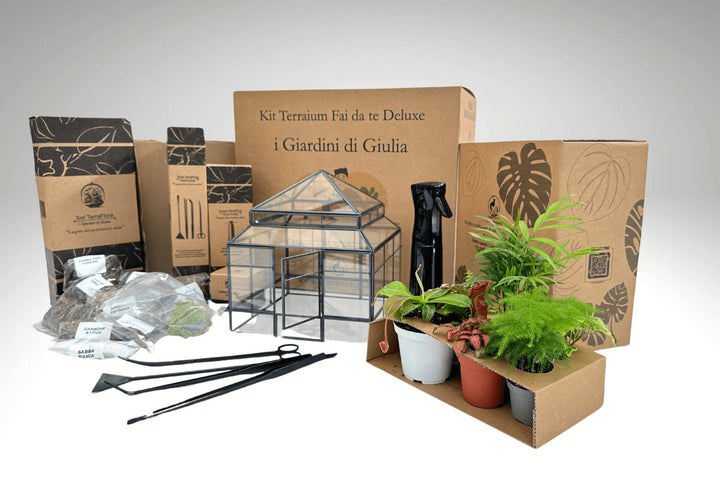 Kit Terrarium Fai Da Te completo Deluxe con Serra Romantica - i Giardini di Giulia