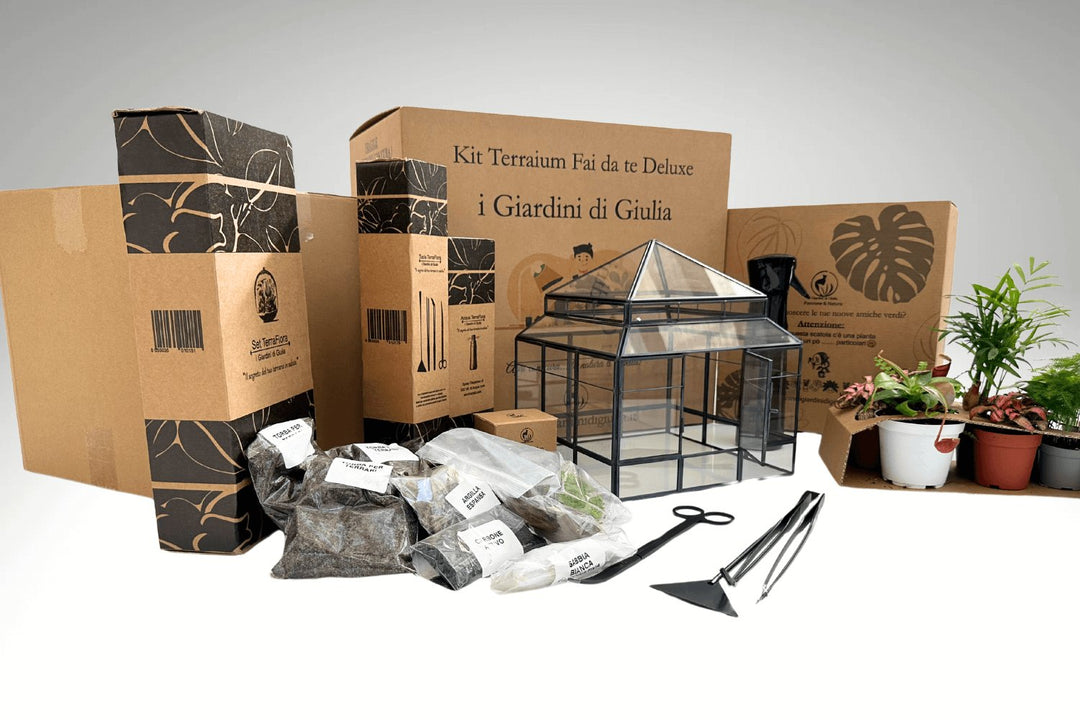 Kit Terrarium Fai Da Te completo Deluxe con Serra Romantica - i Giardini di Giulia