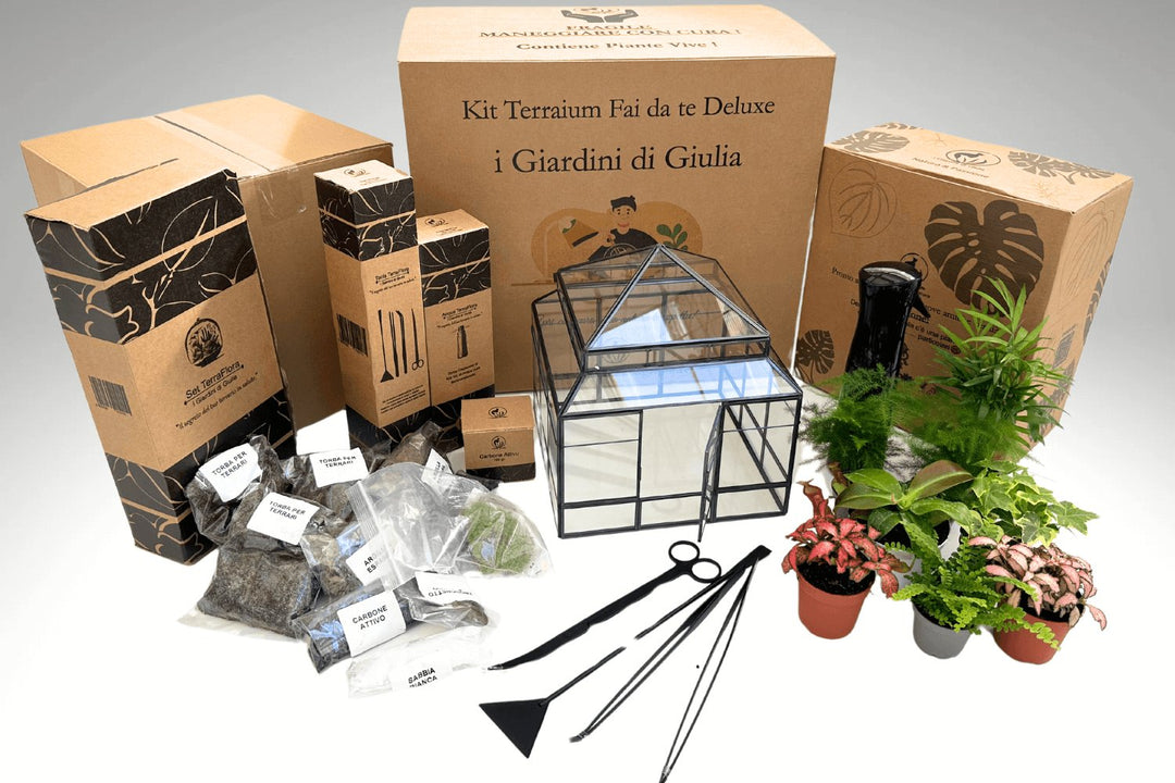 Kit Terrarium Fai Da Te completo Deluxe con Serra Romantica - i Giardini di Giulia