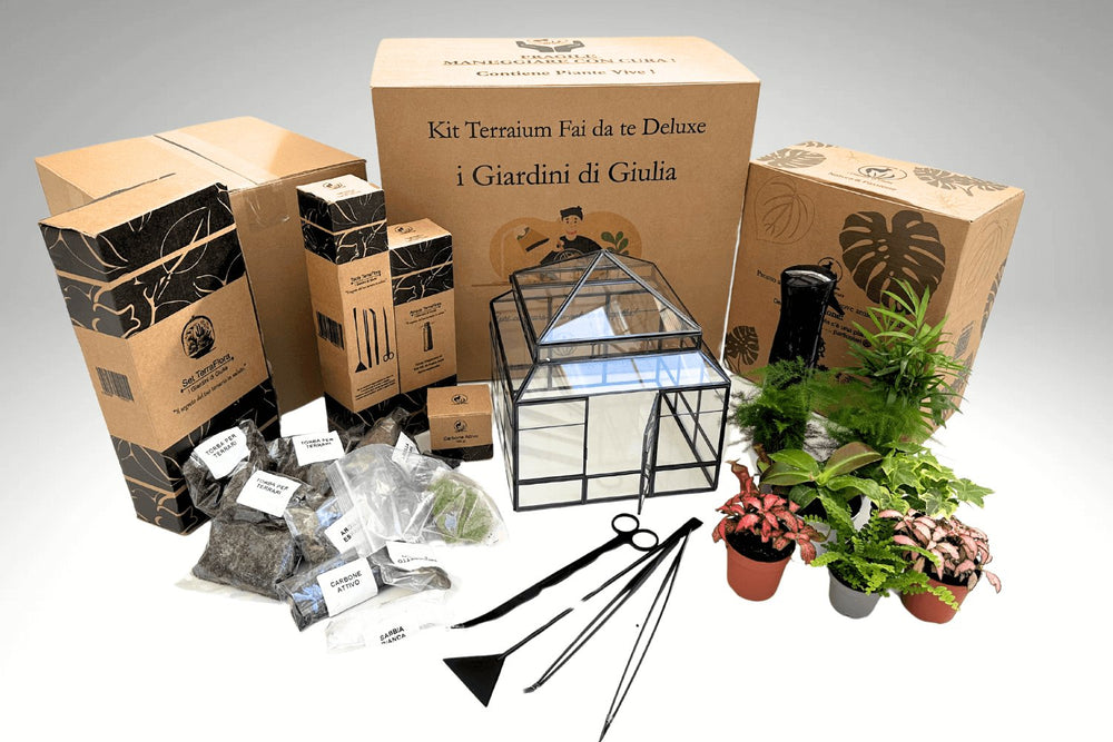 Kit Terrarium Fai Da Te completo Deluxe con Serra Romantica - i Giardini di Giulia