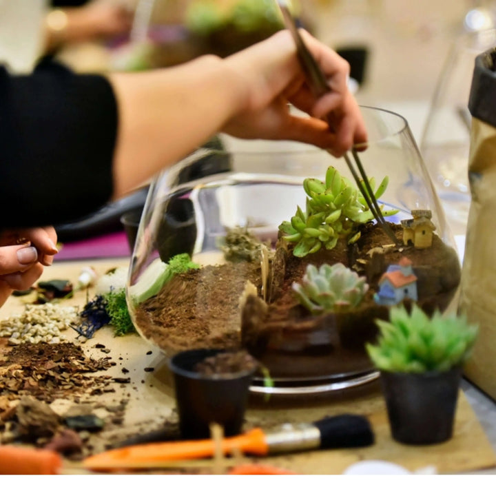 Kit terrarium fai da te con piante grasse completo - i Giardini di Giulia