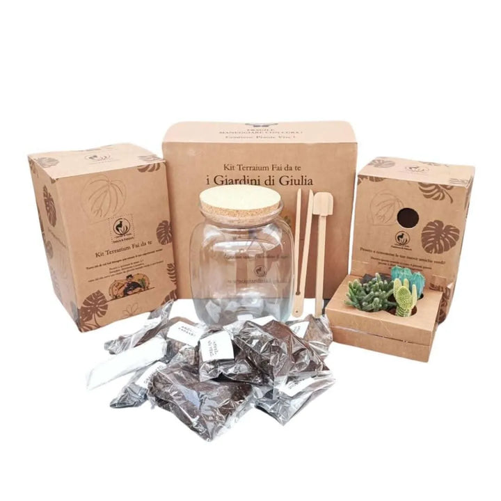 Kit terrarium fai da te con 4 piante grasse (Opuntia, Echeveria, Haworthia, Cylindropuntia), substrati di qualità, strumenti inclusi, progetto creativo a bassa manutenzione per interni, ideale per principianti - I Giardini di Giulia