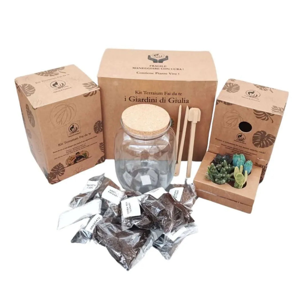 Kit Terrarium Fai Da Te con piante grasse de I Giardini di Giulia, completo di vaso in vetro con tappo in sughero, 4 piante succulente, substrati naturali e attrezzi in legno, confezionato in scatole eco-friendly.
