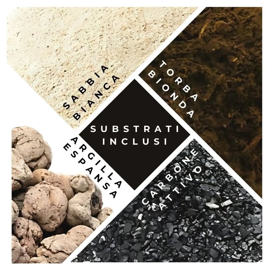 Substrati inclusi nel kit terrarium: sabbia bianca, torba bionda, argilla espansa e carbone attivo