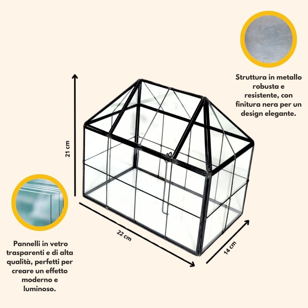 Kit Terrarium Fai - da - Te geometrico con piante grasse - i Giardini di Giulia