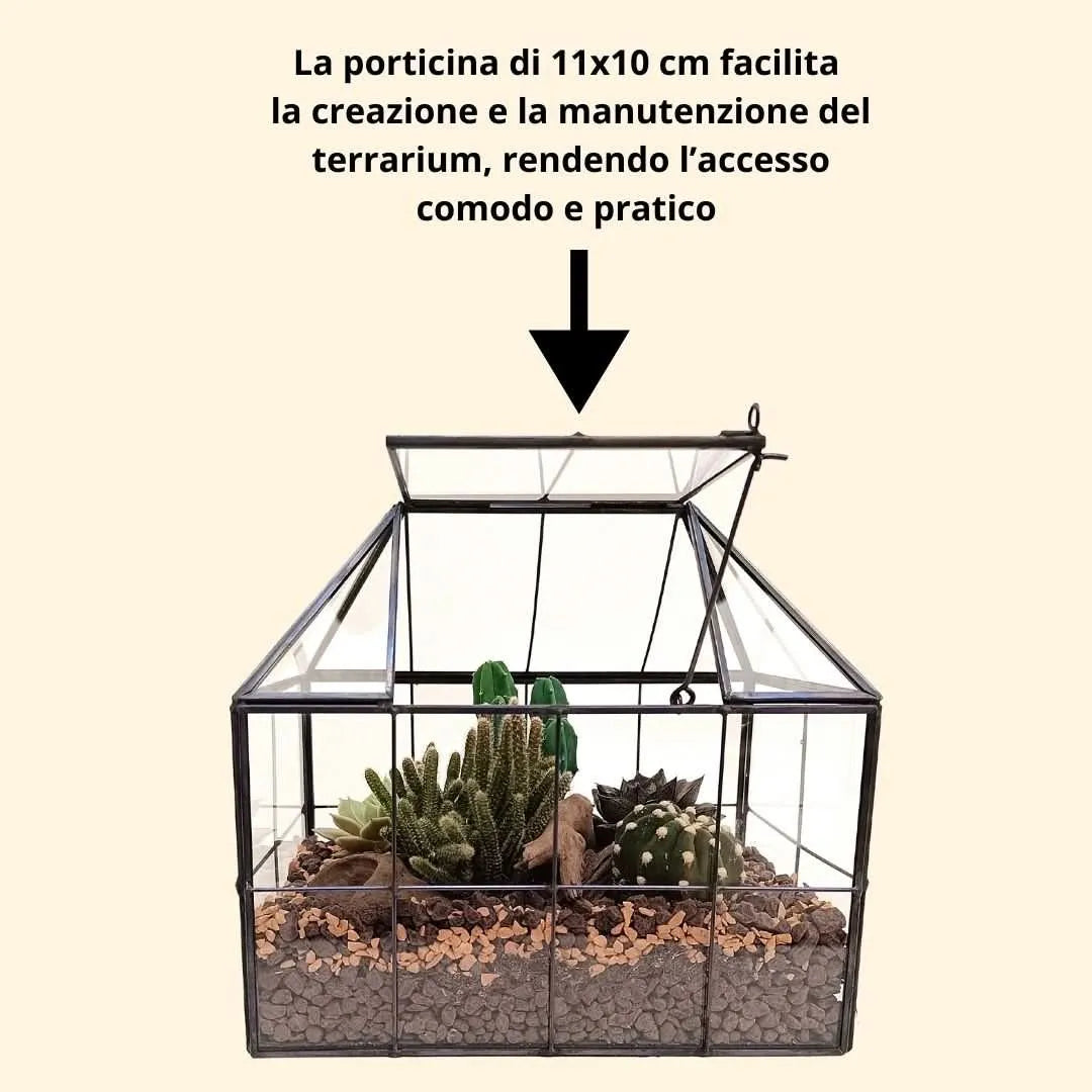 Terrarium geometrico con cactacee e piante grasse già assemblato