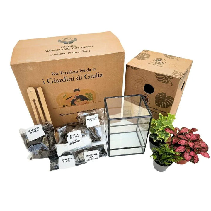 Contenuto completo del Kit Terrarium Geometrico ADA: vaso in vetro con struttura in ferro nero, piante da interno (fittonia, edera, felce), substrati naturali (torba, carbone attivo, argilla, sabbia, granulato), attrezzi e confezioni I Giardini di Giulia.