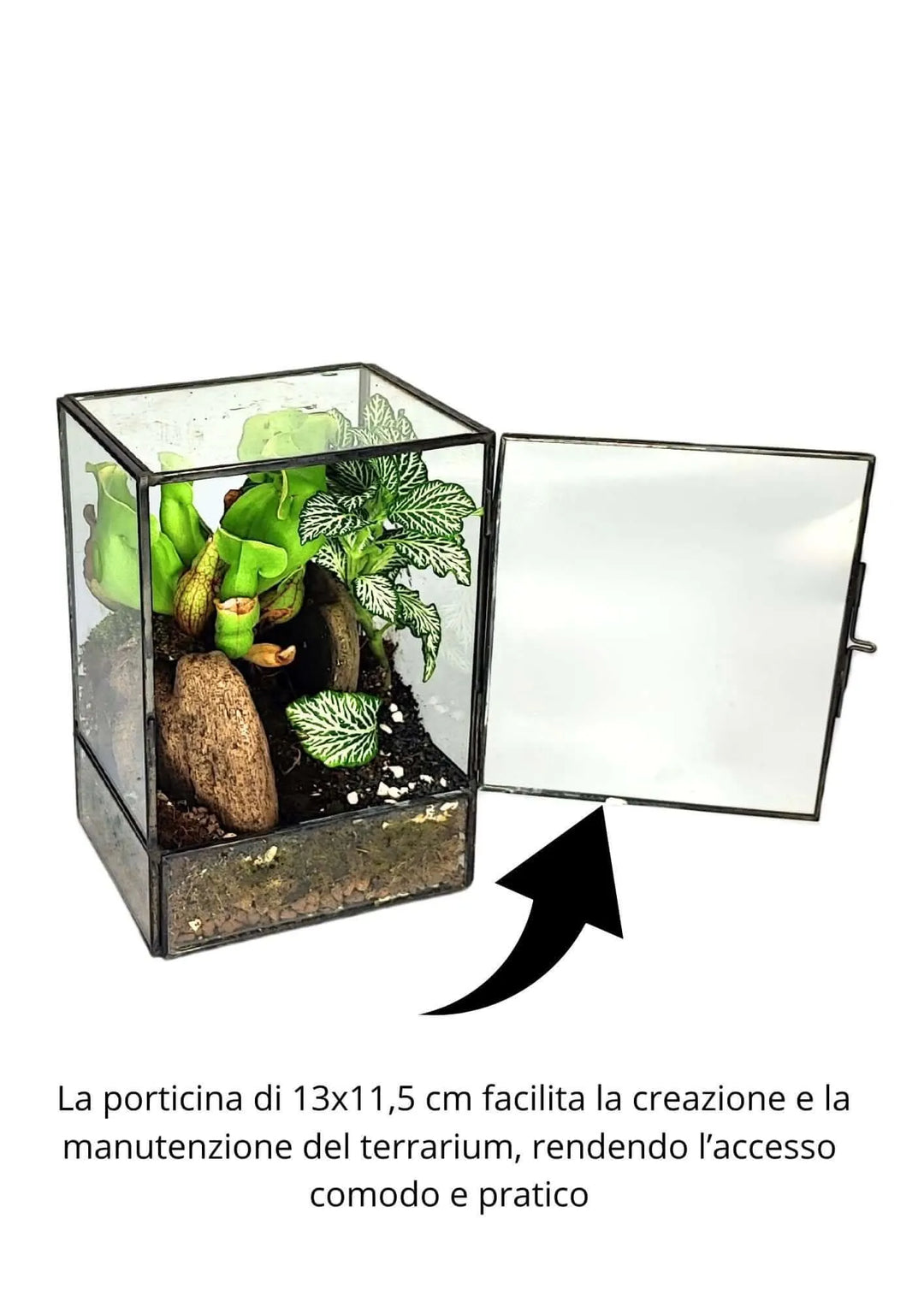 Terrarium geometrico ADA con sportello frontale apribile da 13x11,5 cm per un accesso facile e pratico alla composizione interna, ideale per manutenzione e disposizione delle piante.