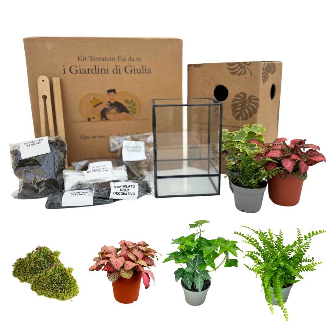 Kit Terrarium Geometrico Fai Da Te ADA | Crea il Tuo Giardino da Interno - i Giardini di Giulia