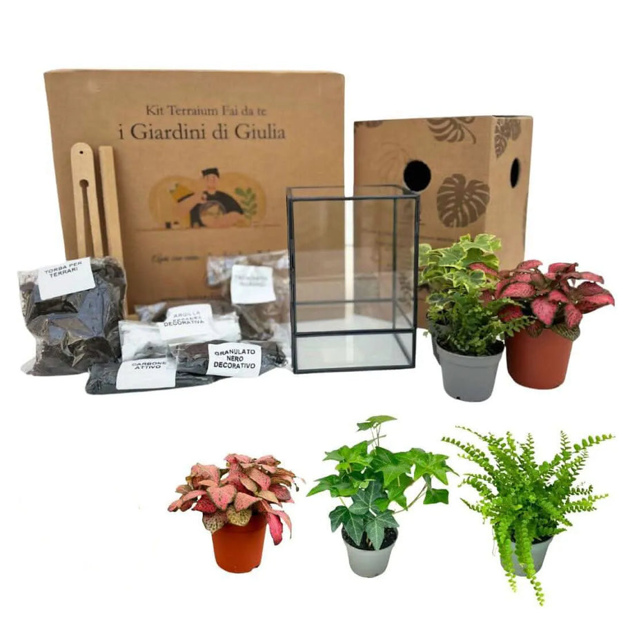 Kit Terrarium Geometrico Fai Da Te ADA | Crea il Tuo Giardino da Interno - i Giardini di Giulia 