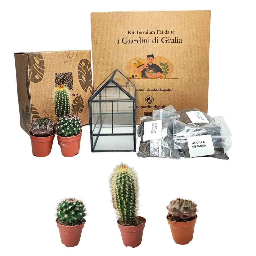 Kit terrarium fai da te con piante grasse – contenitore geometrico in vetro a forma di serra, 3 cactus assortiti e substrati inclusi per creare un mini giardino da interno.