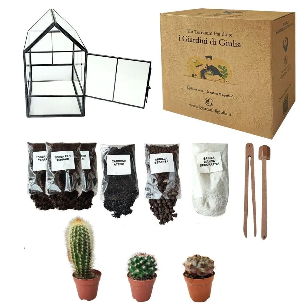 Contenuto del Kit Terrarium Fai da Te con piante grasse: serra geometrica in vetro con sportello, 3 cactus assortiti, substrati (torba, carbone attivo, argilla espansa, sabbia bianca) e attrezzi per la composizione.