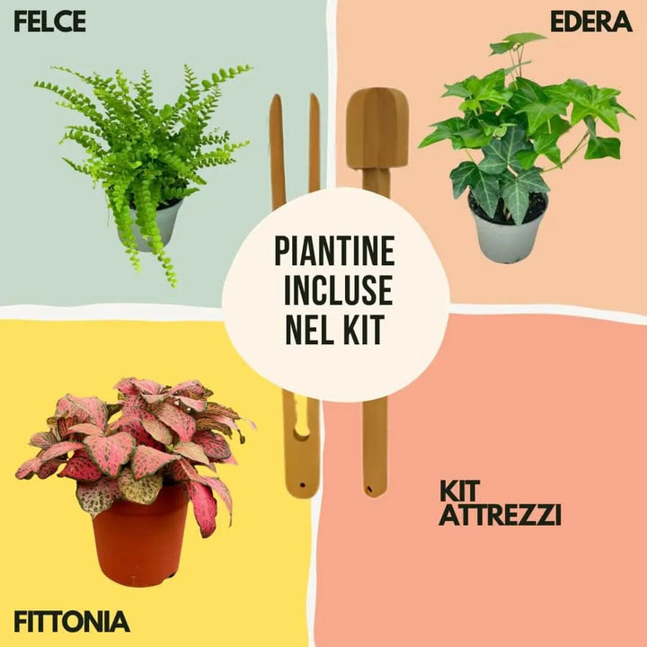 Kit Terrarium Geometrico Fai Da Te Monica | Crea il Tuo Giardino da Interno - i Giardini di Giulia