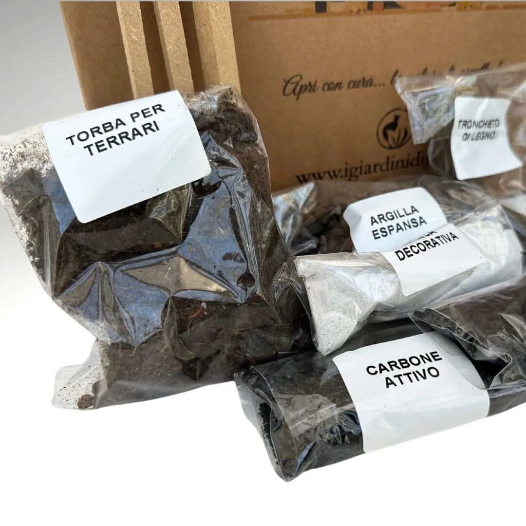 Kit Terrarium Geometrico Fai Da Te Monica | Crea il Tuo Giardino da Interno - i Giardini di Giulia