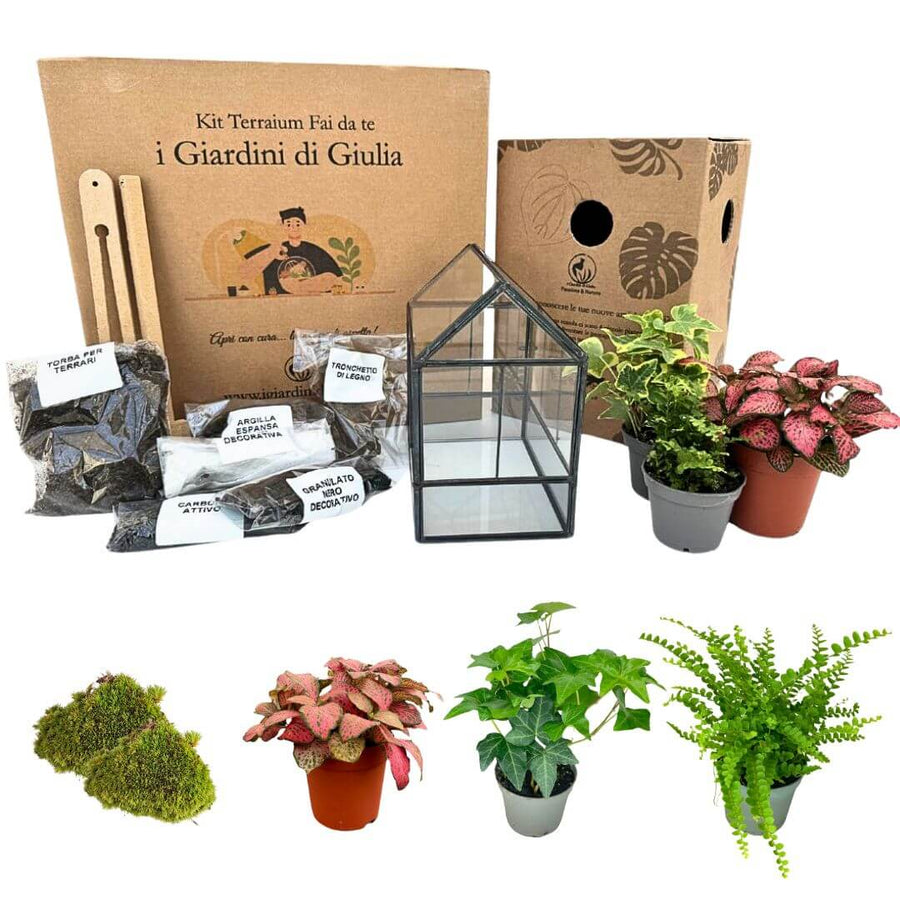 Kit Terrarium Geometrico Fai Da Te Monica | Crea il Tuo Giardino da Interno - i Giardini di Giulia