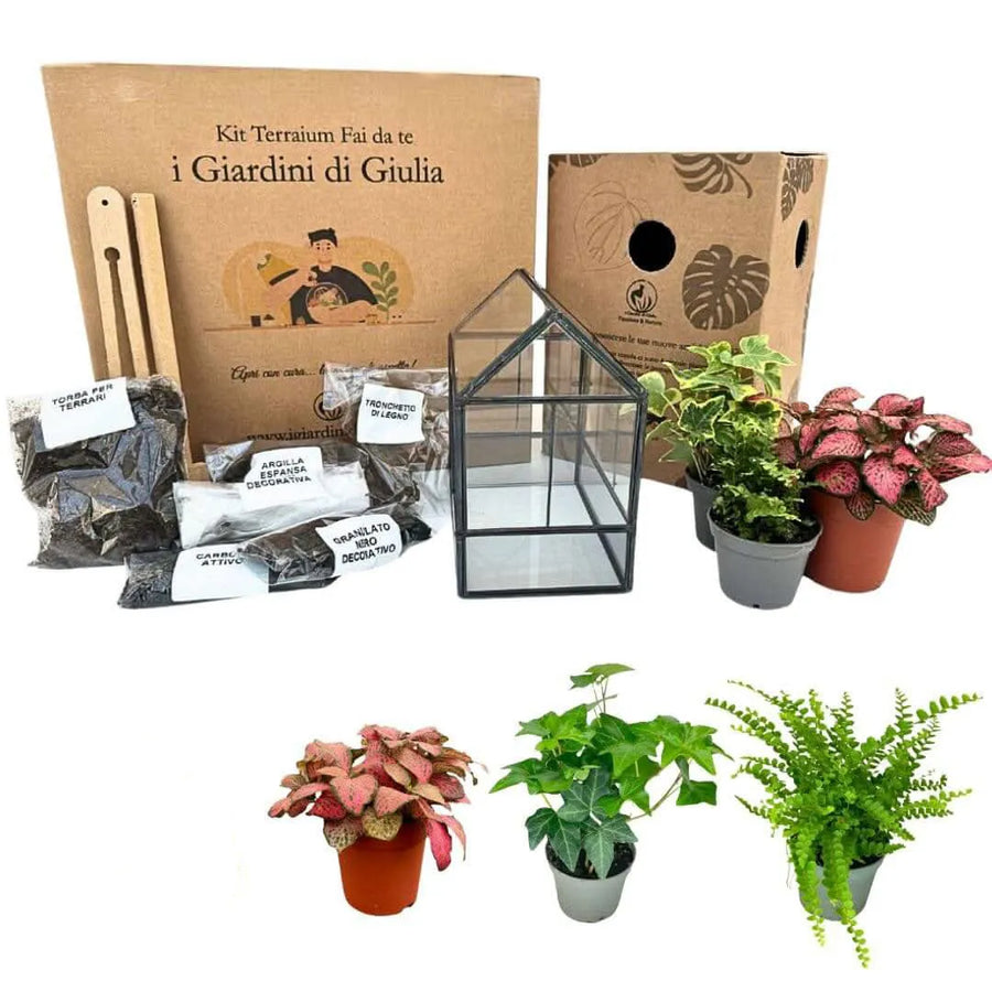 Kit Terrarium Geometrico Fai Da Te Monica | Crea il Tuo Giardino da Interno - i Giardini di Giulia 
